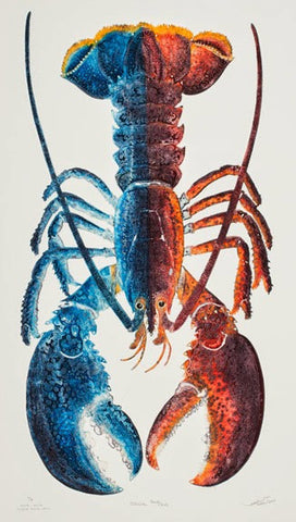 Special - Red and Blue Lobster