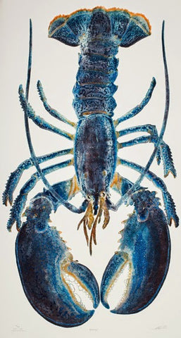 The Blue Lobster