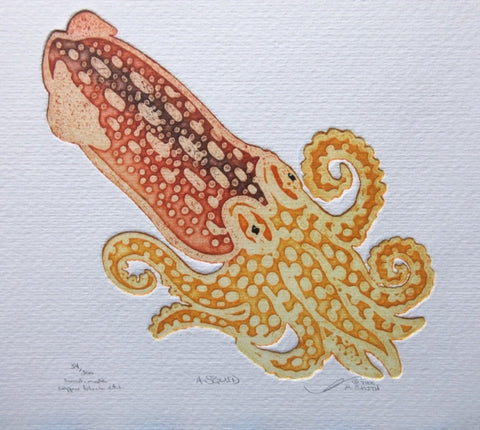 A Squid