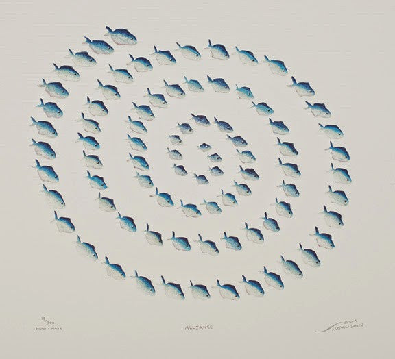 Alliance - Blue Fish