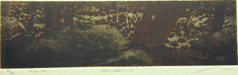 Back Creek Flood