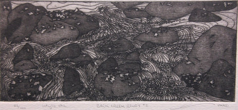 Back Creek Study #2