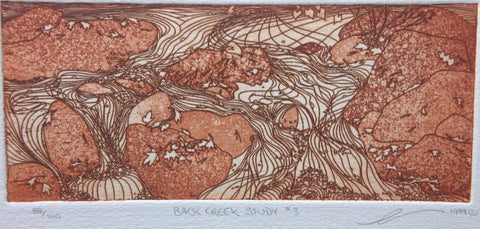 Back Creek Study #3