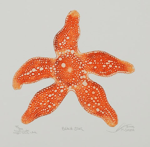 Beach Starfish