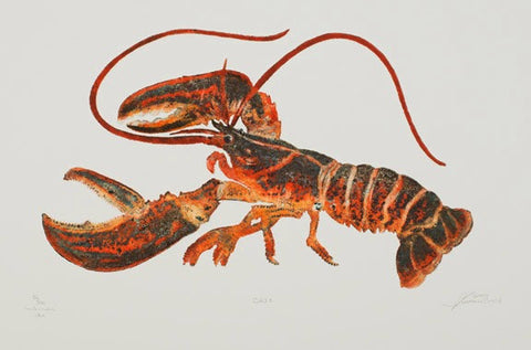 Chix - Red Lobster