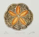 Hampton Sand Dollar