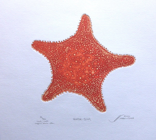 Horse Star