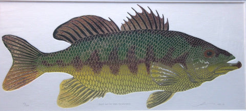 Just An Old Big Mouth Bass