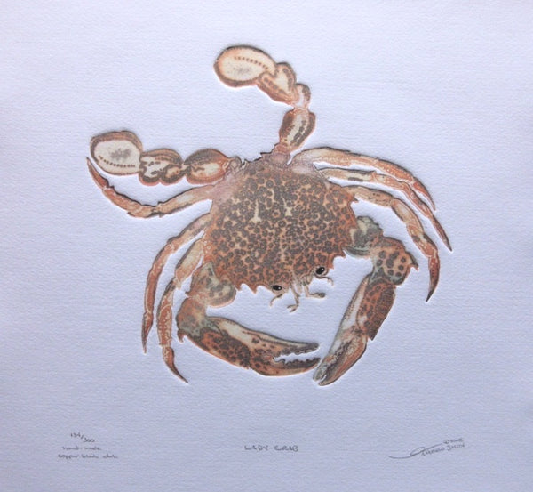 Lady Crab
