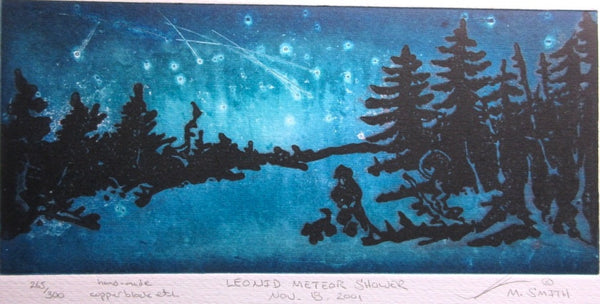 Leonid Meteor Shower