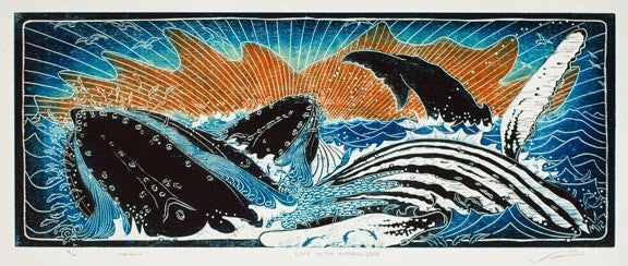 Life on the Northern Edge - Whales