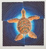 Transcendance - Sea Turtle