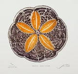 Hampton Sand Dollar