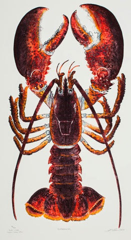 Endeavor - Bold Red Lobster