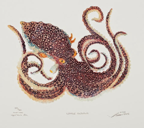 Little Octopus