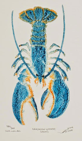 Northern Blue Lobster