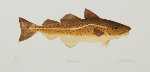 Northern Cod