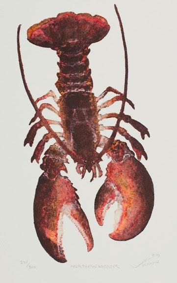 Northern Lobster