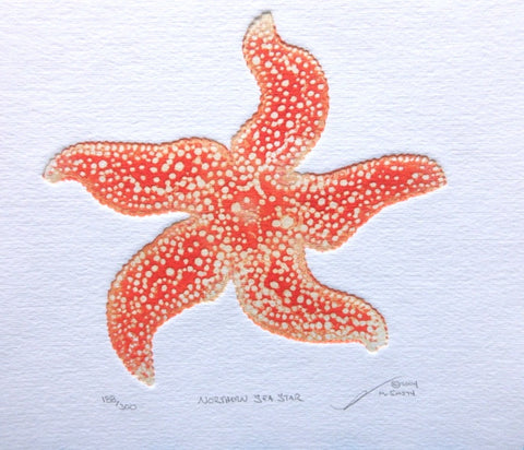 Northern Sea Star
