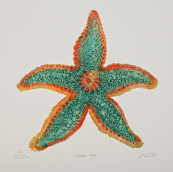Northern Star - Starfish
