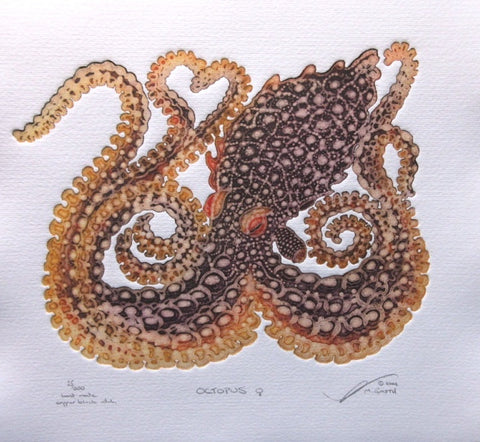 Octopus - Female