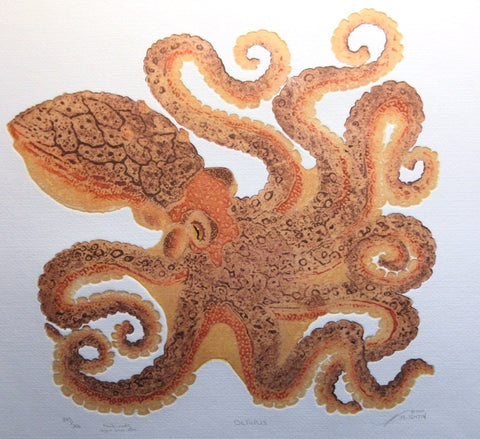 Octopus