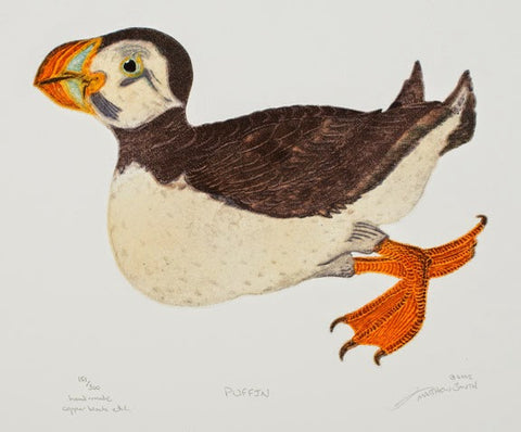Puffin
