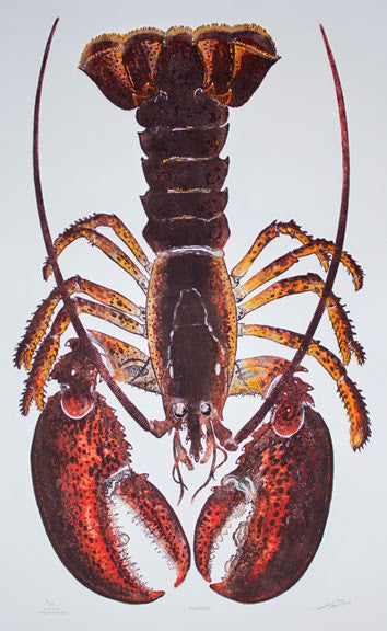 Reason - Lobster