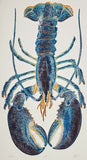 Respect - Blue Lobster