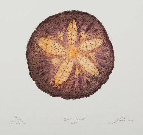 Sand Dollar