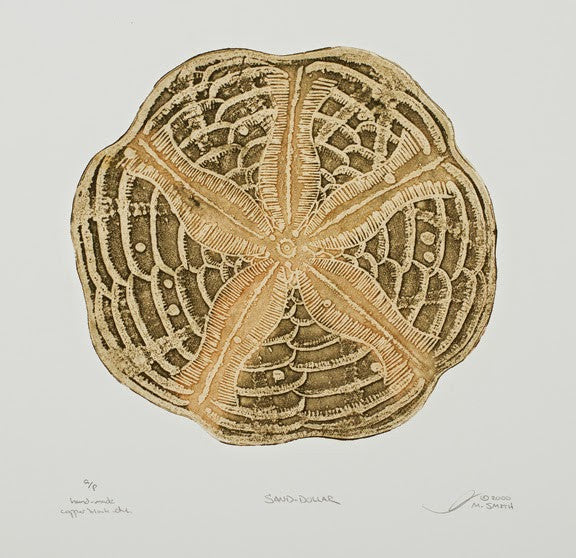 Sand Dollar
