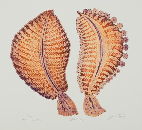 Sea-Pen