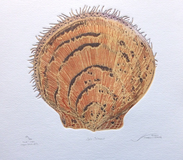 Sea Scallop