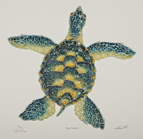 Sea Turtle
