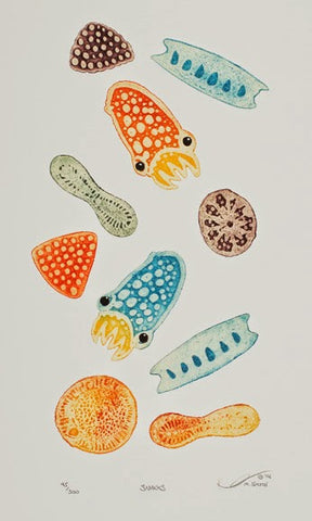 Snacks - Plankton