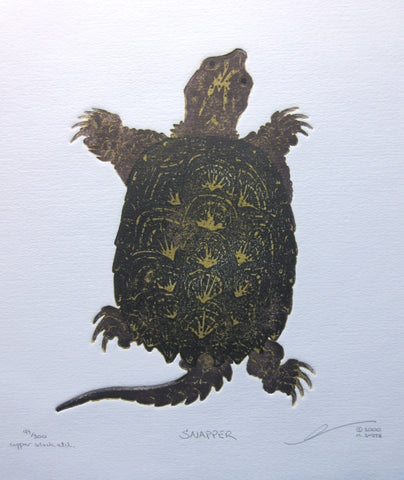 Snapper