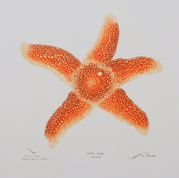 Star-Fish 2000 - Starfish