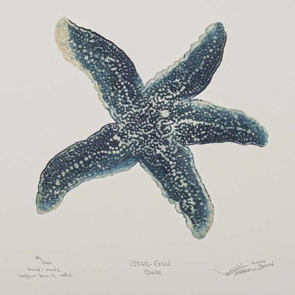 Star-Fish Blue