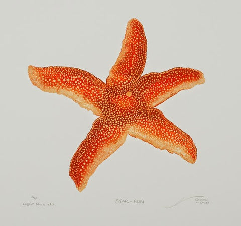 Star-Fish