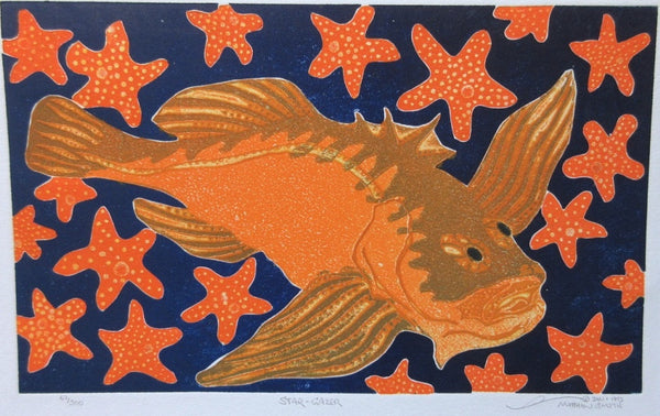 Star Gazer
