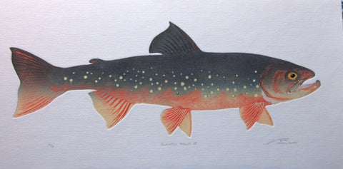 Sunapee Trout - Male
