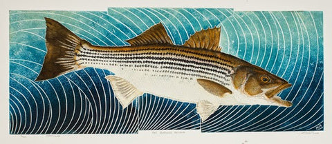 The Schoolie Returns - Schoolie fish
