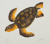 i - Sea Turtle